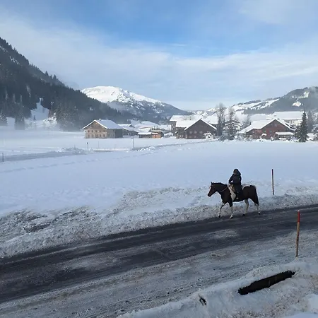 Hoamatl Tannheim