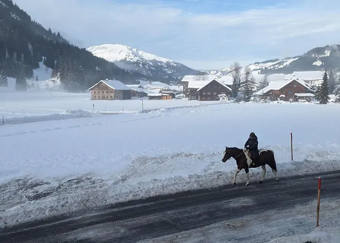 Hoamatl タンハイム