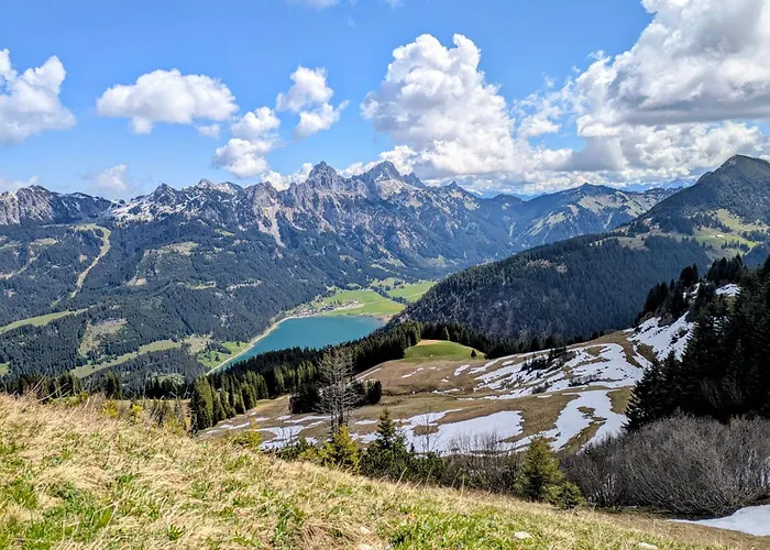 Hoamatl * タンハイム